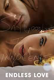 Endless Love 2014 Hindi Dubbed 480p FilmyZilla