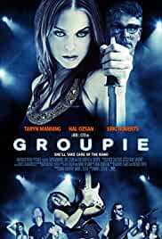 Groupie 2010 Hindi Dubbed 480p FilmyZilla