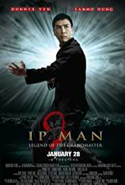 Ip Man 2 2010 Dual Audio Hindi 480p 300MB FilmyZilla